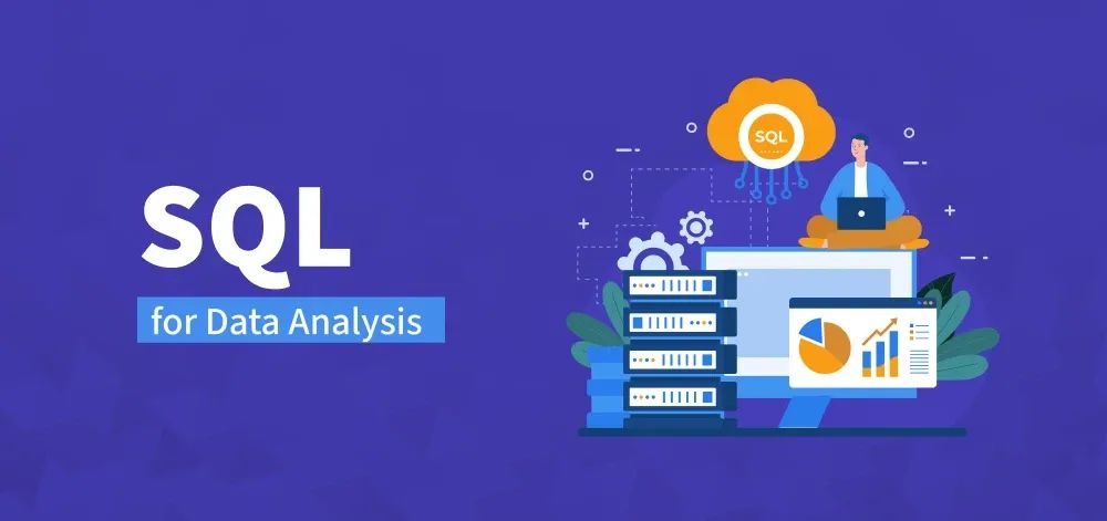 Data analysis services 